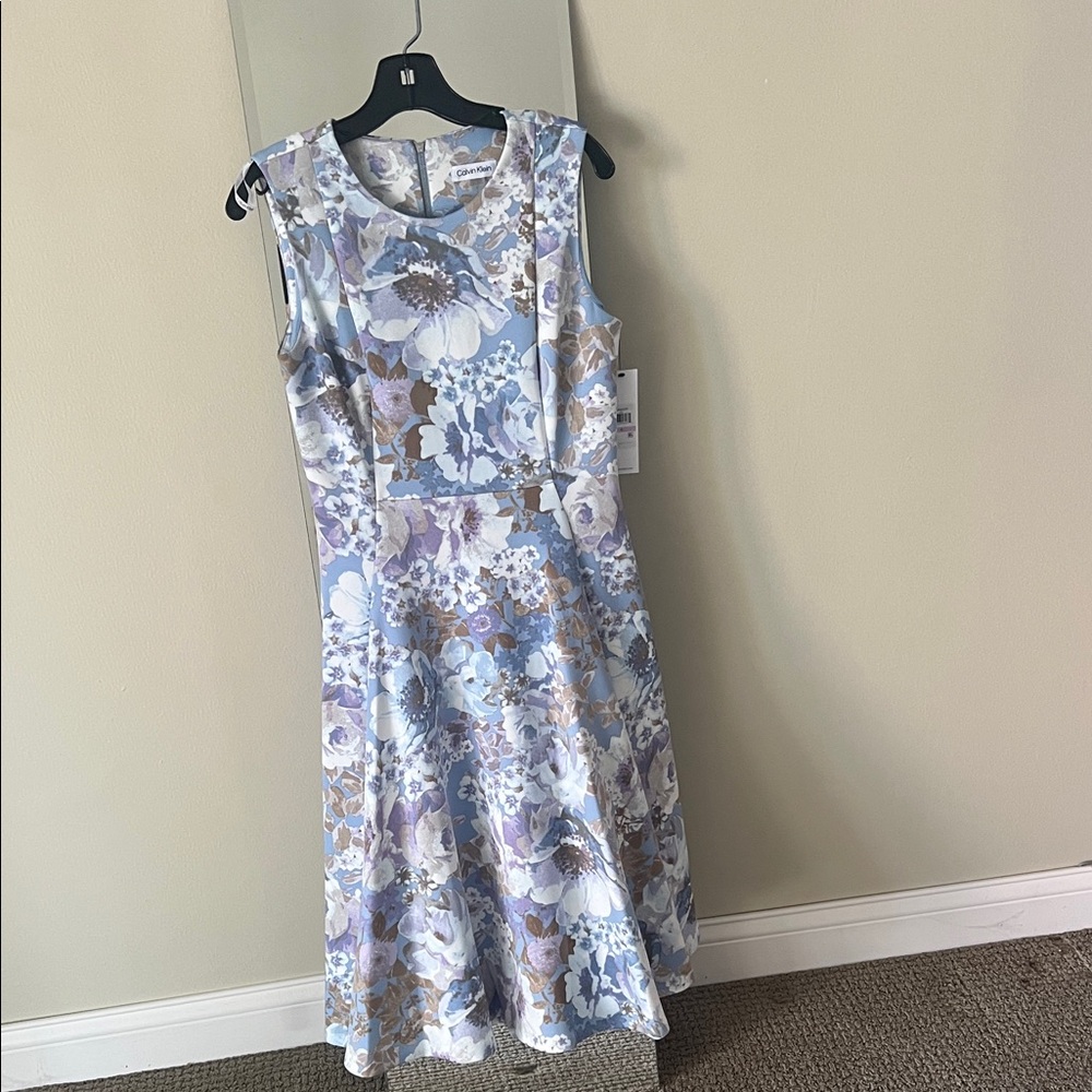 Calvin Klein Women’s Floral Sleeveless Fit & Flare/A-line dress